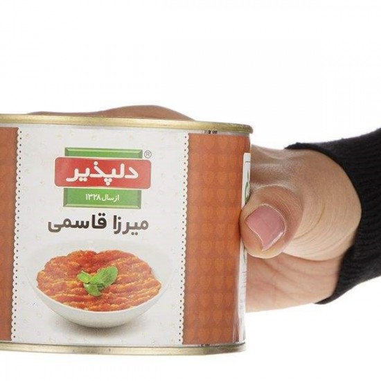 کنسرو ميرزاقاسمي دلپذير 482 گرمي