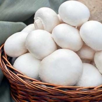 قارچ درجه1